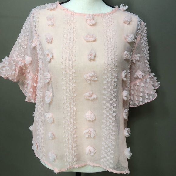Shein official sheer  pompom blouse - Picture 9 of 14